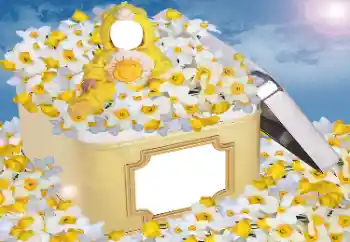 PhotoEffect da categoria Para crianças № 33984 PhotoEffect da categoria Para crianças № 33984