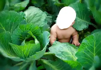 PhotoEffect da categoria Para crianças № 90533 PhotoEffect da categoria Para crianças № 90533