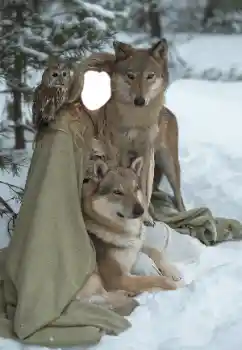 PhotoEffect da categoria Para mulheres № 129849