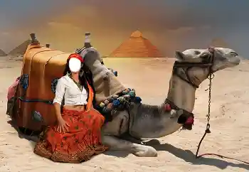 PhotoEffect da categoria Para mulheres № 38344