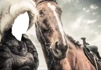 PhotoEffect da categoria Para mulheres № 38493