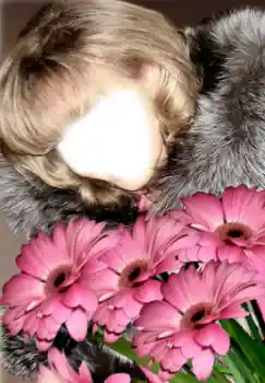 PhotoEffect da categoria Para mulheres № 38949