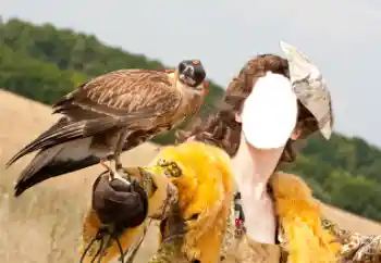 PhotoEffect da categoria Para mulheres № 61598