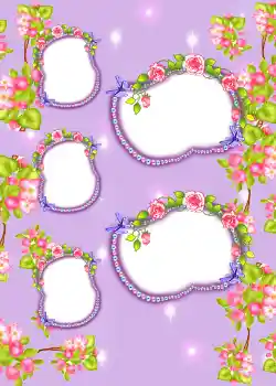 PhotoEffect da categoria Álbum N.º3 № 858