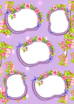 PhotoEffect da categoria Álbum N.º3 № 902