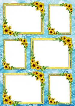 PhotoEffect da categoria Álbum N.º4 № 904