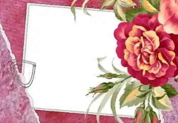 PhotoEffect da categoria Molduras para namorados № 112250 PhotoEffect da categoria Molduras para namorados № 112250