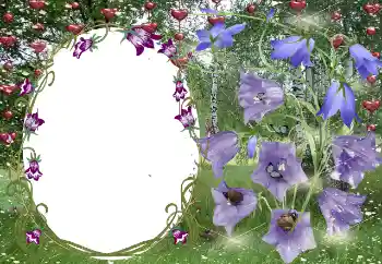 PhotoEffect da categoria Molduras para namorados № 131799 PhotoEffect da categoria Molduras para namorados № 131799