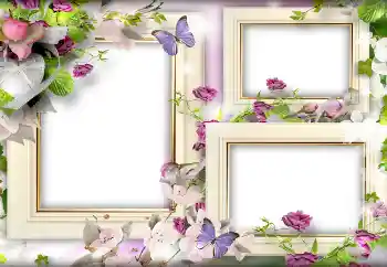 PhotoEffect da categoria Molduras para namorados № 141166 PhotoEffect da categoria Molduras para namorados № 141166