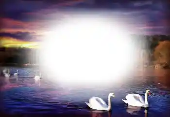 PhotoEffect da categoria Molduras para namorados № 153250 PhotoEffect da categoria Molduras para namorados № 153250