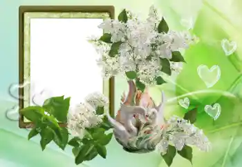 PhotoEffect da categoria Molduras para namorados № 153257 PhotoEffect da categoria Molduras para namorados № 153257