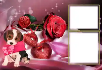 PhotoEffect da categoria Molduras para namorados № 154605 PhotoEffect da categoria Molduras para namorados № 154605