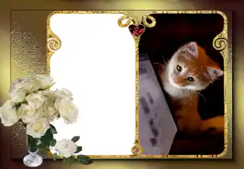 PhotoEffect da categoria Molduras para namorados № 163583