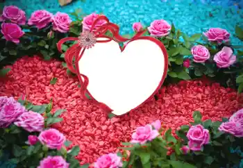 PhotoEffect da categoria Molduras para namorados № 175547 PhotoEffect da categoria Molduras para namorados № 175547