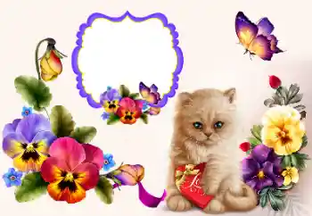 PhotoEffect da categoria Molduras para namorados № 177858 PhotoEffect da categoria Molduras para namorados № 177858