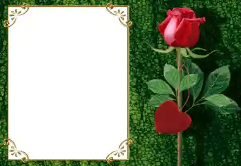 PhotoEffect da categoria Molduras para namorados № 34006 PhotoEffect da categoria Molduras para namorados № 34006