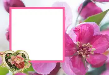 PhotoEffect da categoria Molduras para namorados № 43593 PhotoEffect da categoria Molduras para namorados № 43593