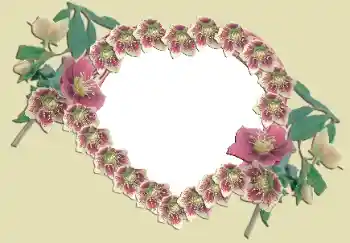 PhotoEffect da categoria Molduras para namorados № 49524 PhotoEffect da categoria Molduras para namorados № 49524