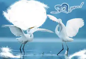 Texto na moldura: I love you!