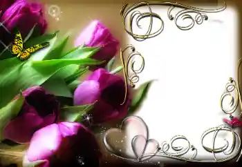 PhotoEffect da categoria Molduras para namorados № 78969