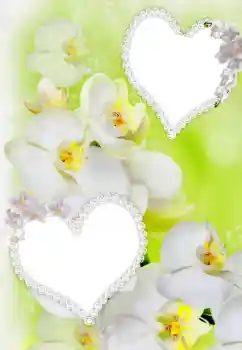 PhotoEffect da categoria Molduras para namorados № 91900 PhotoEffect da categoria Molduras para namorados № 91900