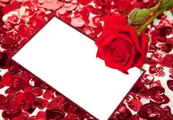 PhotoEffect da categoria Molduras para namorados № 96066 PhotoEffect da categoria Molduras para namorados № 96066