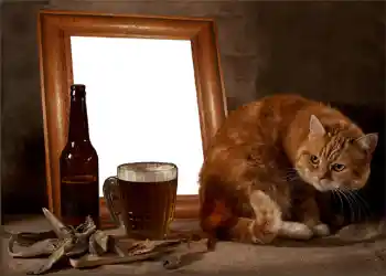 PhotoEffect da categoria Molduras para fotografias masculinas № 897