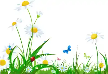 Texto na moldura: Feliz 8 de Março