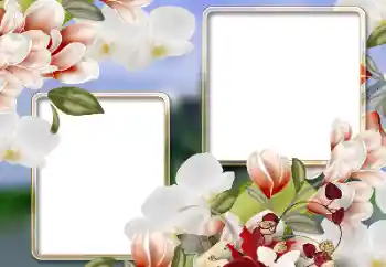 Texto na moldura: 8 de março