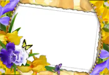 Texto na moldura: Feliz 8 de Março