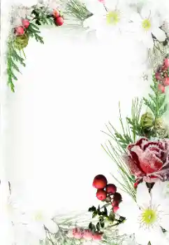 Texto na moldura: Feliz 8 de Março