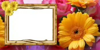 PhotoEffect da categoria Postais de 8 de Março № 42675