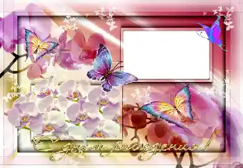 Texto na moldura: Feliz Dia de Anos!