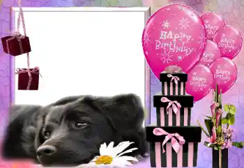 Texto na moldura: Happy Birthday!