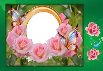 Texto na moldura: Happy anniversary!