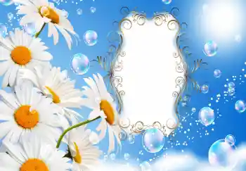 Texto na moldura: Happy anniversary!