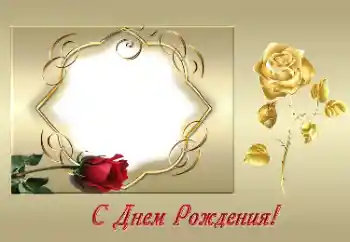 Texto na moldura: Feliz Dia de Anos! Texto na moldura: Feliz Dia de Anos!