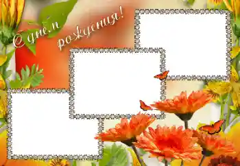 Texto na moldura: Feliz Dia de Anos! Texto na moldura: Feliz Dia de Anos!