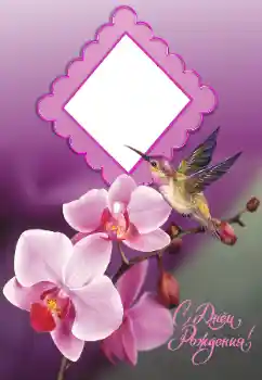 Texto na moldura: Feliz Dia de Anos! Texto na moldura: Feliz Dia de Anos!