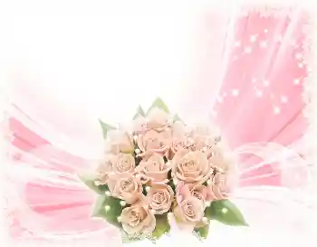 Texto na moldura: Feliz Dia de Anos!