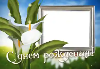 Texto na moldura: Feliz Dia de Anos!