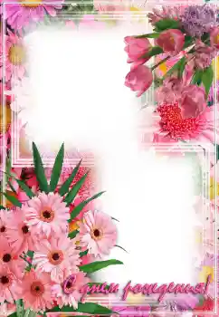 Texto na moldura: Feliz Dia de Anos!