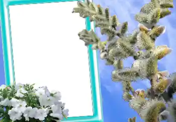 PhotoEffect da categoria Postais de Páscoa № 131205 PhotoEffect da categoria Postais de Páscoa № 131205