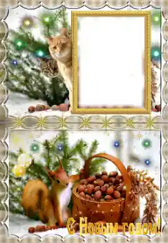 PhotoEffect da categoria Postais de Ano Novo № 147602. Texto na moldura: Feliz Ano Novo!