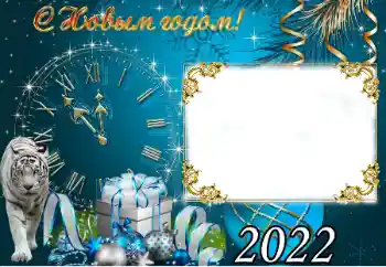 PhotoEffect da categoria Postais de Ano Novo № 191775. Texto na moldura: Feliz Ano Novo!