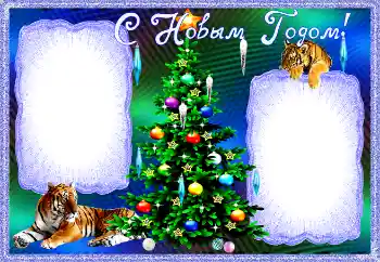 PhotoEffect da categoria Postais de Ano Novo № 192972. Texto na moldura: Feliz Ano Novo!