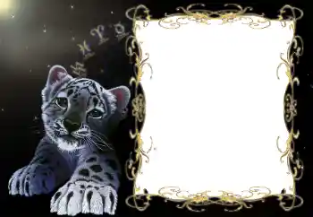 PhotoEffect da categoria Postais de Ano Novo № 194172