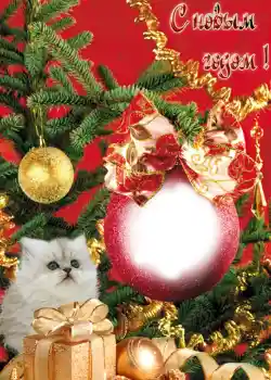 PhotoEffect da categoria Postais de Ano Novo № 646. Texto na moldura: Feliz Ano Novo!