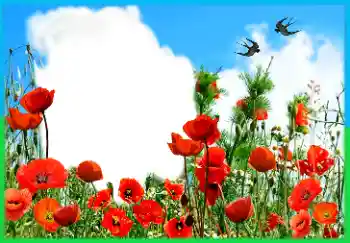 Texto na moldura: Victory in Europe Day Texto na moldura: Victory in Europe Day