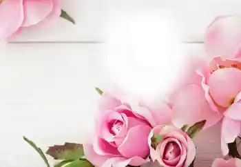 PhotoEffect da categoria Festas diversas № 115983 PhotoEffect da categoria Festas diversas № 115983